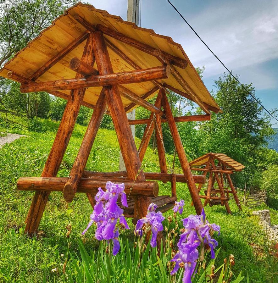 Pensiunea La Bunica Ruginesti Exterior photo